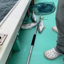 さんさん丸 釣果