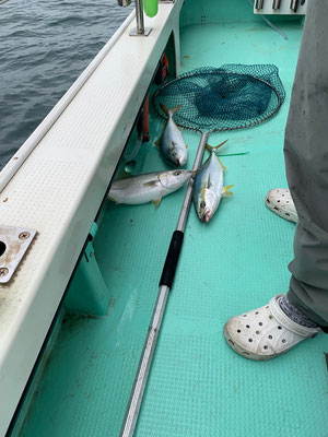 さんさん丸 釣果