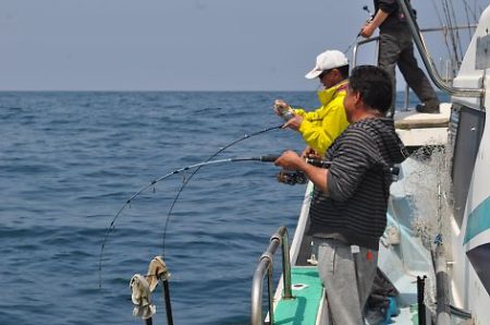 八海丸 釣果