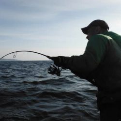 開進丸 釣果