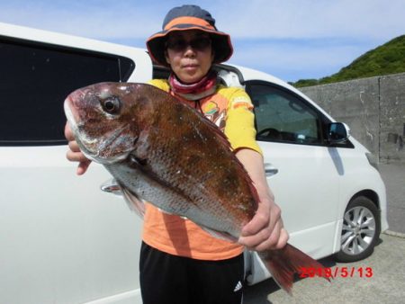 大進丸（新潟） 釣果