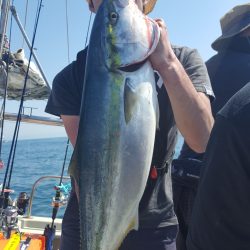 海峰 釣果