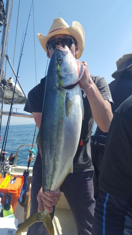 海峰 釣果