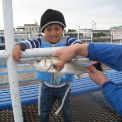 オリジナルメーカー海づり公園(市原市海づり施設) 釣果