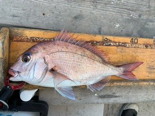 幸吉丸 釣果