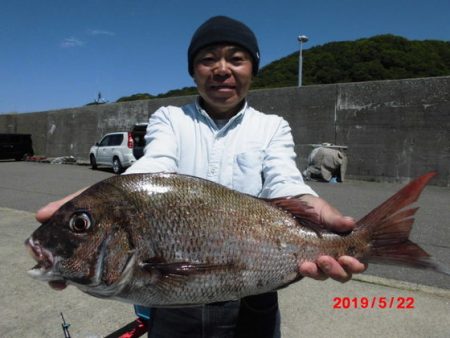 大進丸（新潟） 釣果