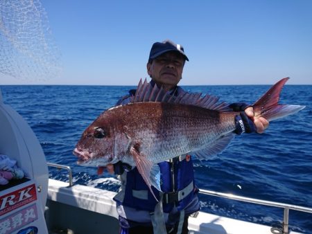 宝来丸 釣果