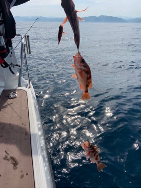 宝昌丸 釣果