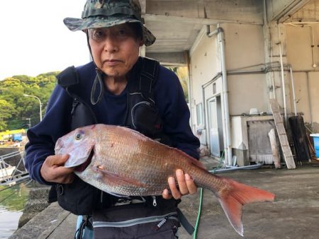 勇勝丸 釣果