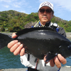 宮島丸 釣果