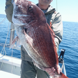 遊漁船ブルーウッズ 釣果