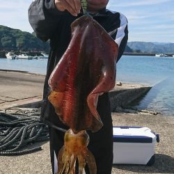 筏マルキ 釣果