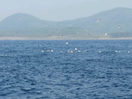 つれ鷹丸 釣果