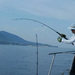 つれ鷹丸 釣果