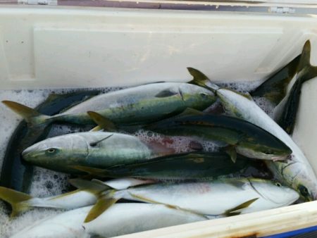 つれ鷹丸 釣果