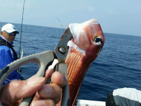 つれ鷹丸 釣果