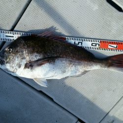 つれ鷹丸 釣果