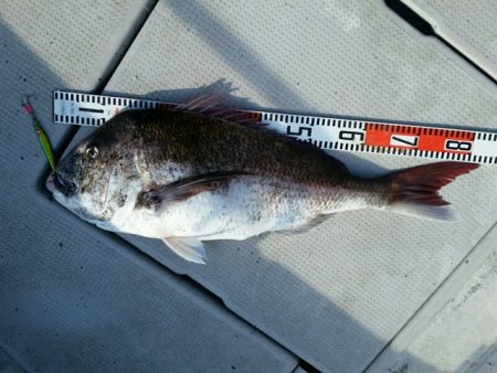 つれ鷹丸 釣果