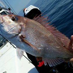 つれ鷹丸 釣果