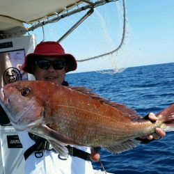 つれ鷹丸 釣果