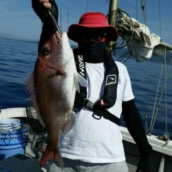 つれ鷹丸 釣果