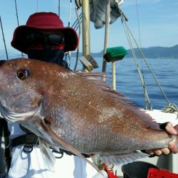 つれ鷹丸 釣果