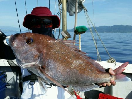 つれ鷹丸 釣果