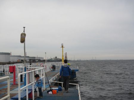 オリジナルメーカー海づり公園(市原市海づり施設) 釣果