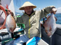 里輝丸 釣果