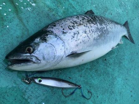 広進丸 釣果