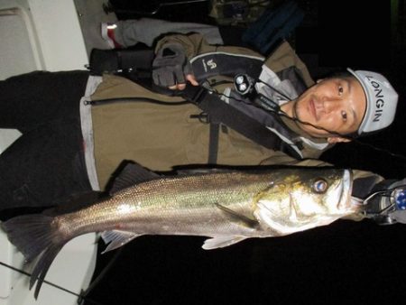 釣日和 釣果