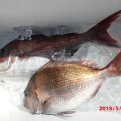 大進丸（新潟） 釣果