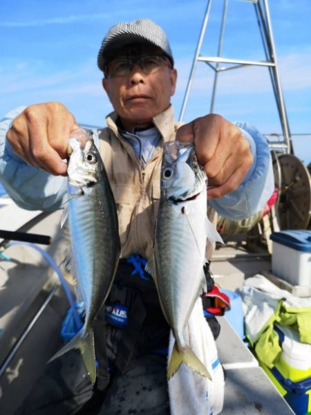 泰丸 釣果