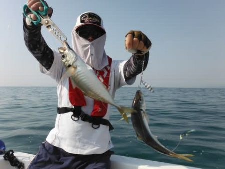 開進丸 釣果