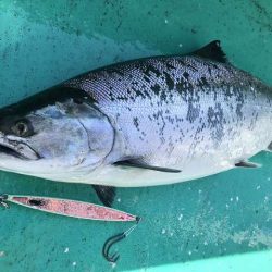 広進丸 釣果