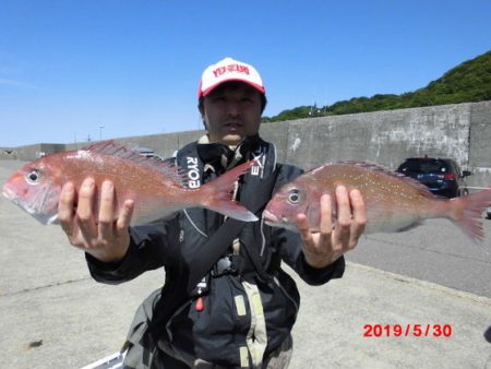 大進丸（新潟） 釣果