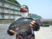 春日丸 釣果