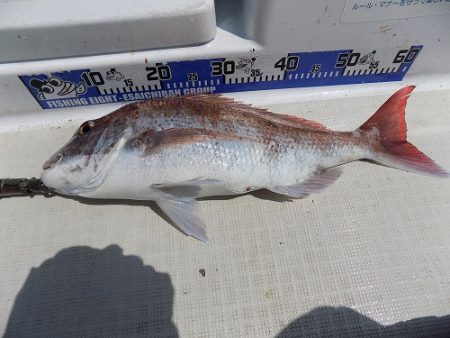 フィッシングボート空風（そらかぜ） 釣果