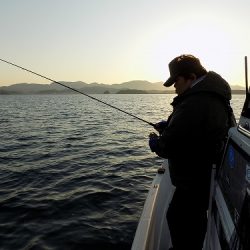 フィッシングボート空風（そらかぜ） 釣果