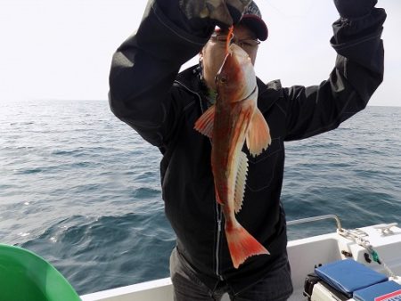 フィッシングボート空風（そらかぜ） 釣果