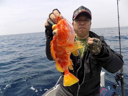 フィッシングボート空風（そらかぜ） 釣果