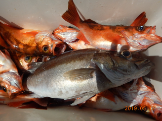 作十丸 釣果