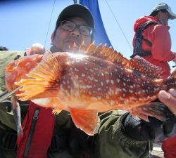 兼六丸 釣果