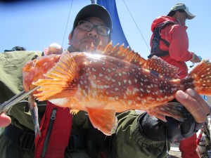 兼六丸 釣果