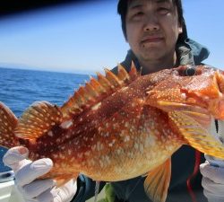 兼六丸 釣果