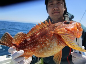 兼六丸 釣果