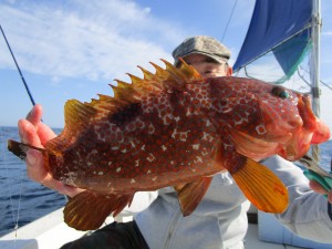 兼六丸 釣果