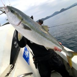 オーシャンズ　京都 釣果