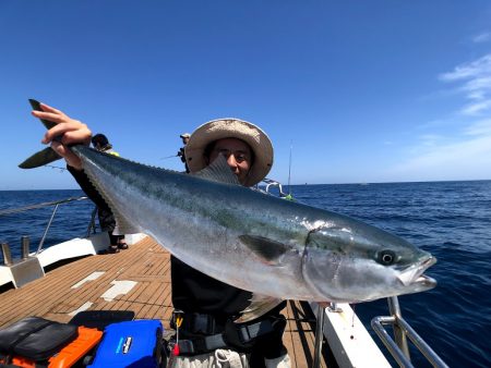 オーシャンズ　京都 釣果