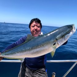 オーシャンズ　京都 釣果